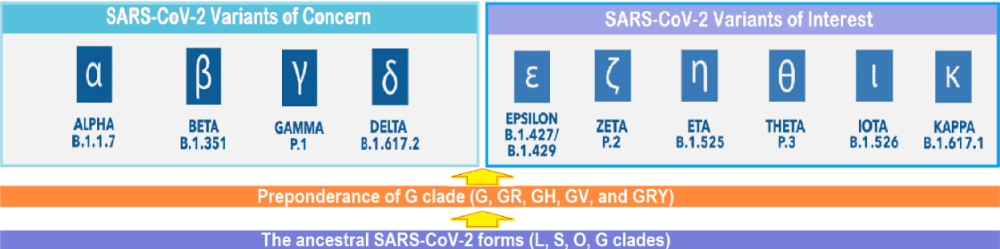 jprr-aid1030-g002